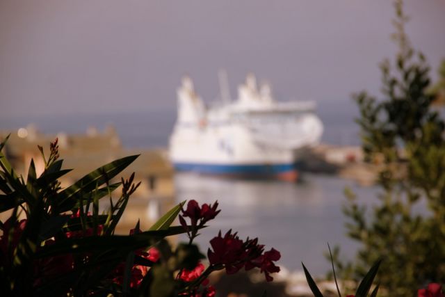 2010 07 05 jeanmarcperfetti.com 084.JPG
